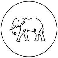 Artboard 1_8 elephant icon to represent African Adventures