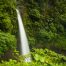 Majestic waterfall in rainforest of costa rica